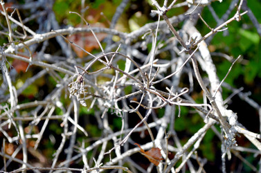 Similar image 22294643