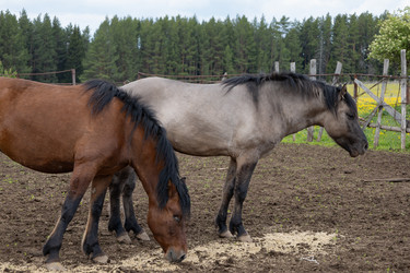 Similar image 22312698