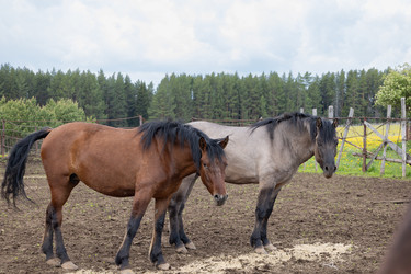 Similar image 22312699