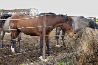 Similar image 22312700