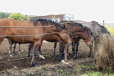 Similar image 22312702