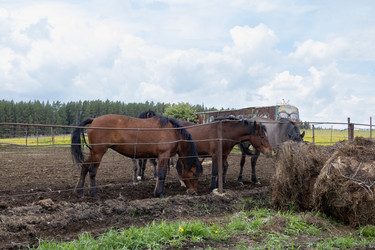 Similar image 22312703