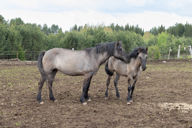 Similar image 22312704