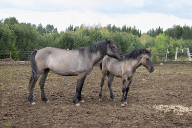 Similar image 22312705