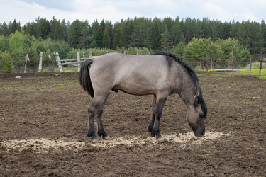 Similar image 22312706