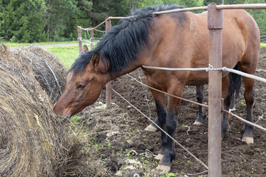 Similar image 22312707