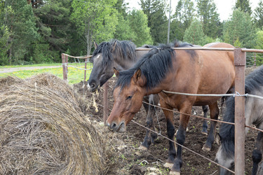 Similar image 22312708