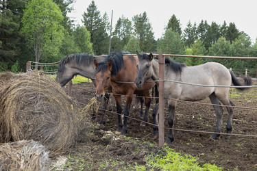 Similar image 22312709