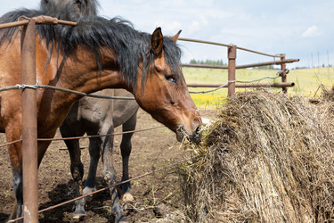 Similar image 22312710