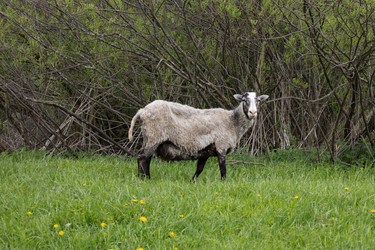 Similar image 22312711