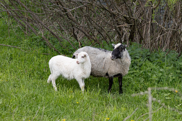 Similar image 22312712