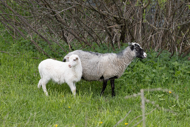 Similar image 22312713