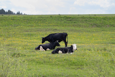 Similar image 22312714