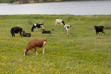 Similar image 22312715