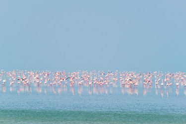 Similar image 22309161