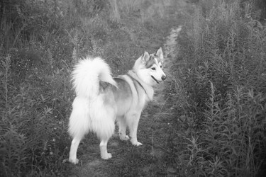 Similar image 22316578