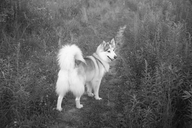 Similar image 22316579