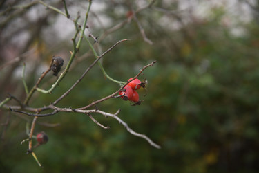 Similar image 22332226