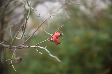 Similar image 22332227