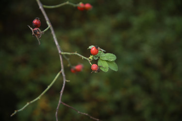 Similar image 22323440