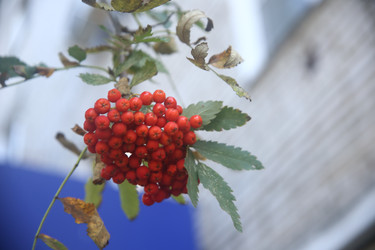 Similar image 22316580