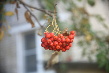 Similar image 22316581