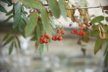 Similar image 22316582