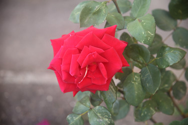 Similar image 22315226