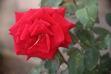 Similar image 22315227