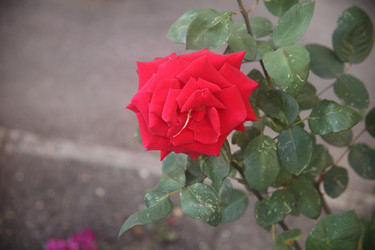 Similar image 22315228