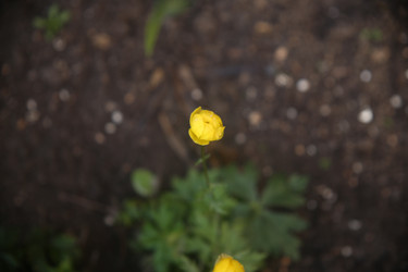 Similar image 22323441