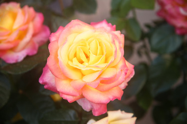 Similar image 22315230