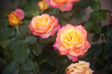 Similar image 22315231