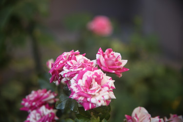 Similar image 22315234