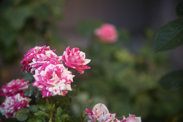 Similar image 22315235