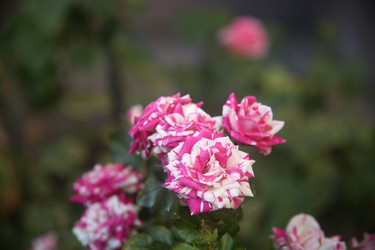 Similar image 22315236