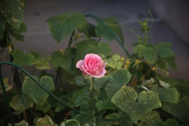 Similar image 22315237