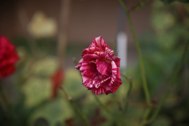 Similar image 22315238