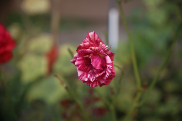 Similar image 22315240