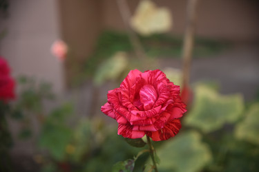 Similar image 22315242