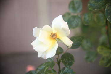 Similar image 22315243