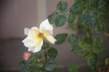 Similar image 22315244