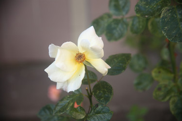 Similar image 22315245