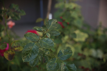 Similar image 22323442