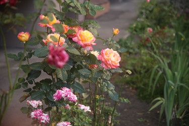 Similar image 22315246