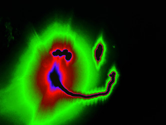 Similar image 22312838