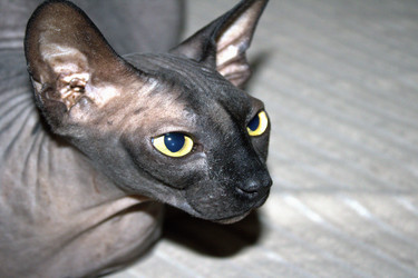 Similar image 22294269