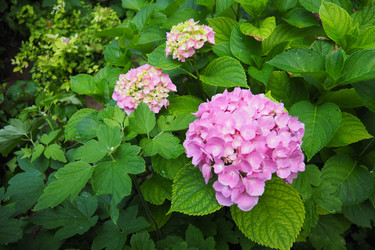 Similar image 22310430