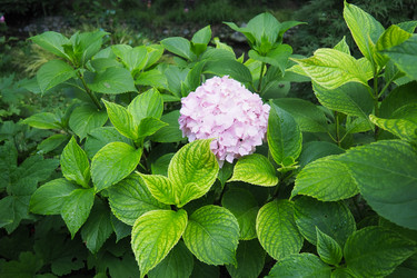 Similar image 22310431