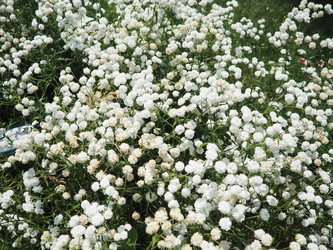 Similar image 22310433